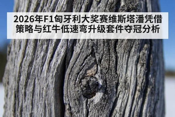 2026年F1匈牙利大奖赛维斯塔潘凭借策略与红牛低速弯升级套件夺冠分析