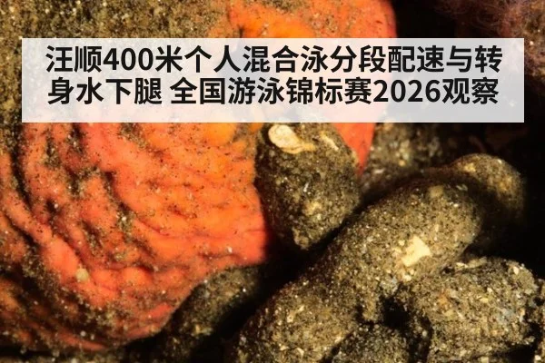 汪顺400米个人混合泳分段配速与转身水下腿 全国游泳锦标赛2026观察